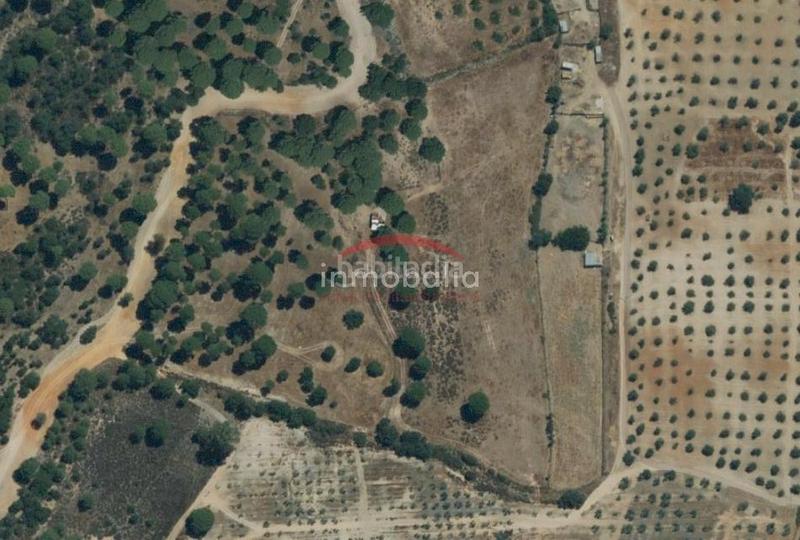 Foto f781b8ae-7e6d-4bf3-b4e9-8173ebe3cf24. Finca rústica en Villamanrique de la Condesa