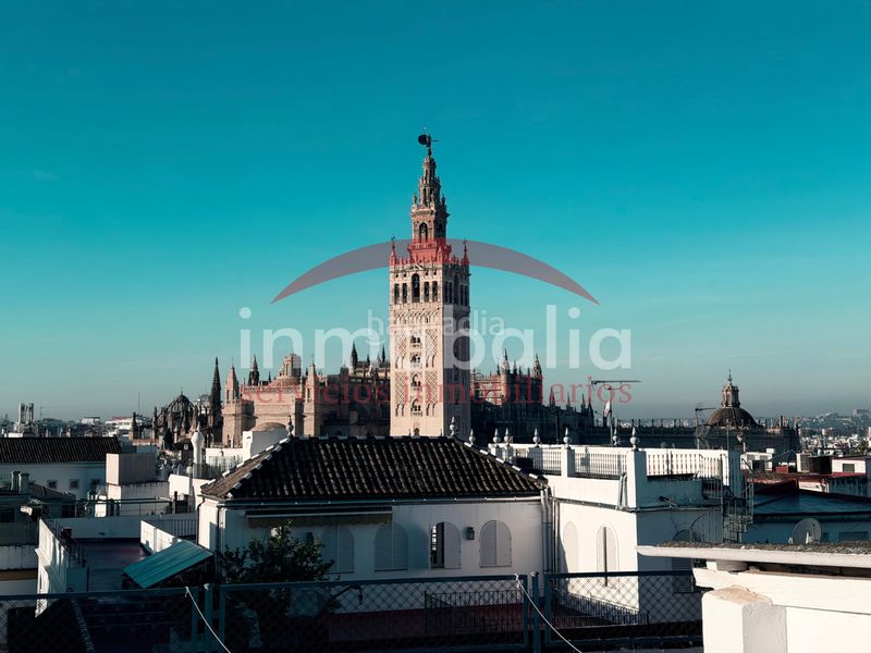 Foto e2a67be6-0f35-4bc5-9e40-8e9637ff870a. Casa a Alfalfa - Santa Cruz Sevilla