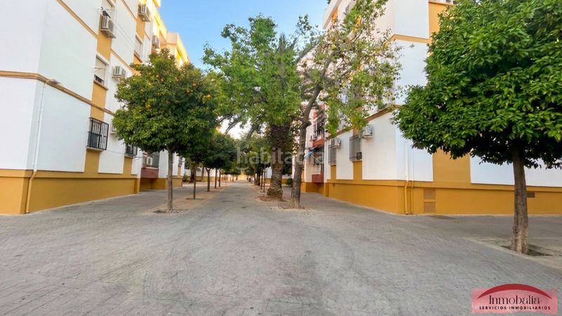Foto 2e9a17e0-0bd7-40c5-b3a9-c3be8a988b95. Pis a San Pablo Sevilla