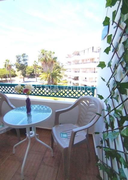 Foto 11ee100a-a6b6-44d4-aa99-a6d94f49250c. Pis amb piscina a El Portil