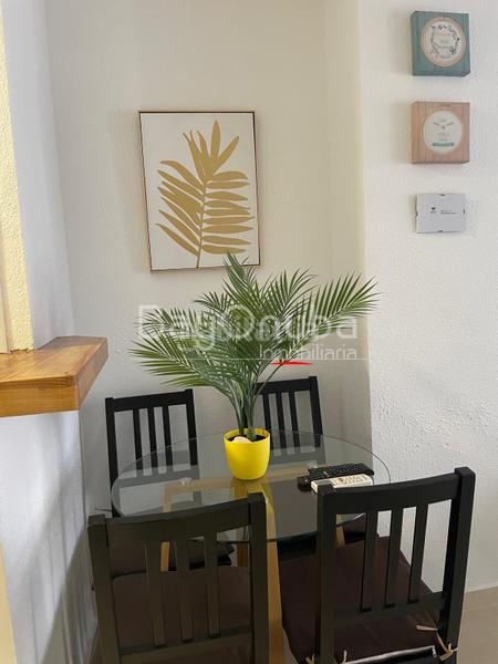 Foto 6aa3821d-e635-4681-bff6-178e17bd8bd5. Pis amb piscina a El Portil