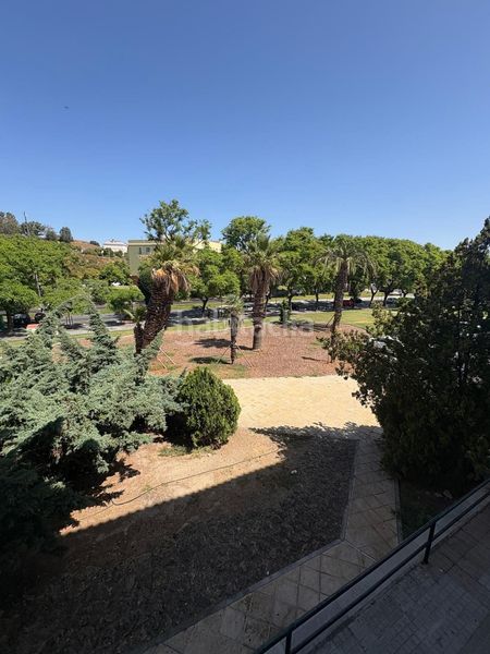 Foto 98333d71-5fe2-4ff5-963f-7c1a429f5780. Pis a Las Torres - Guadalupe Huelva