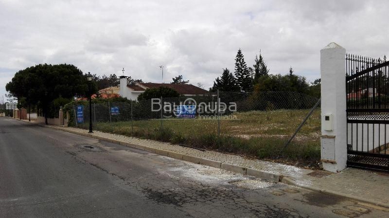 Foto 4ac1174e-e684-46ba-99ee-d23498e48574. Pis a Lepe