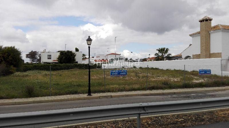 Foto 63a5838c-16bf-4f12-a36a-471b4cff093d. Pis a Lepe