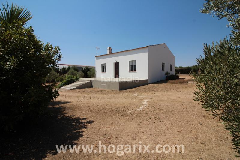 Foto 0c66fd2b-ebe6-4d11-8d12-4c0343fac931. Finca rústica a Gibraleón