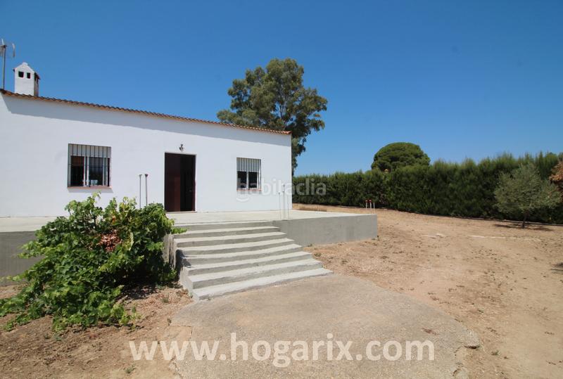 Foto 1ce57494-98b5-4d9a-a9cc-eb0ceabe6e6b. Finca rústica a Gibraleón