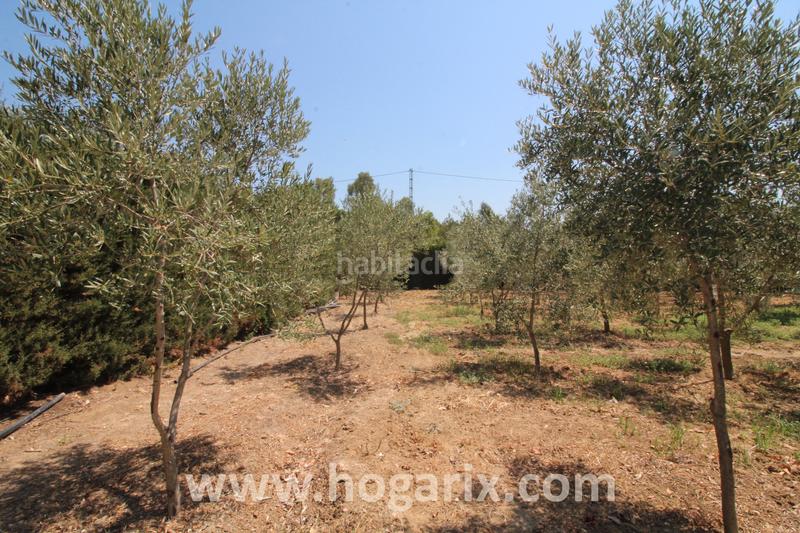 Foto d93cec0d-d723-47cc-9cd7-6b35259eaecb. Finca rústica a Gibraleón