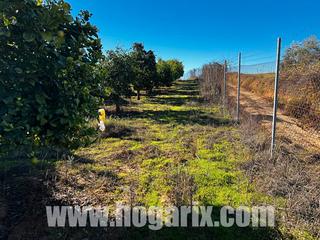 Finca rstica en Niebla. Finca rstica rociana del condado