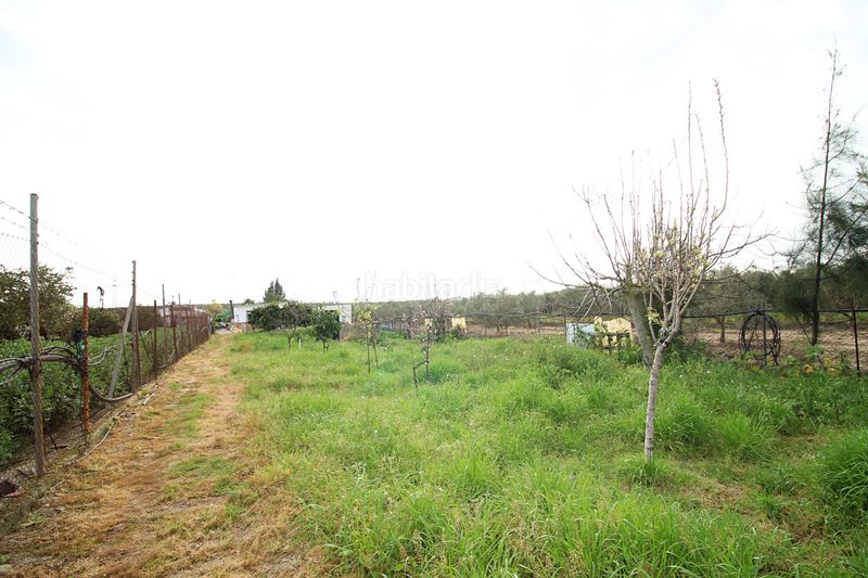 Foto 27ecb087-4a91-440c-825a-4d0b9ecc4b62. Finca rústica parcela rústica de 2.240 m² con vivienda y gallinero en Gibraleón