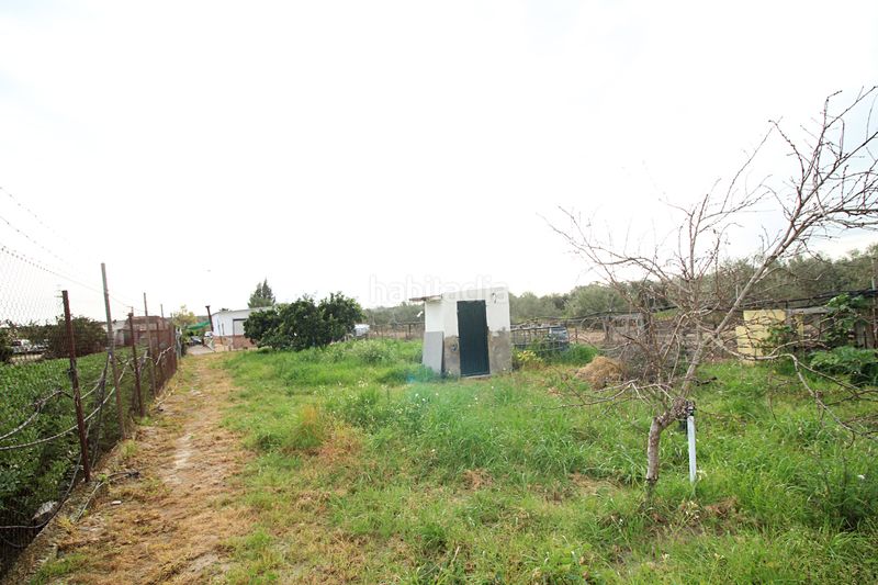 Foto 3332b509-2b6f-41df-946d-0cd295d3c216. Finca rústica parcela rústica de 2.240 m² con vivienda y gallinero en Gibraleón