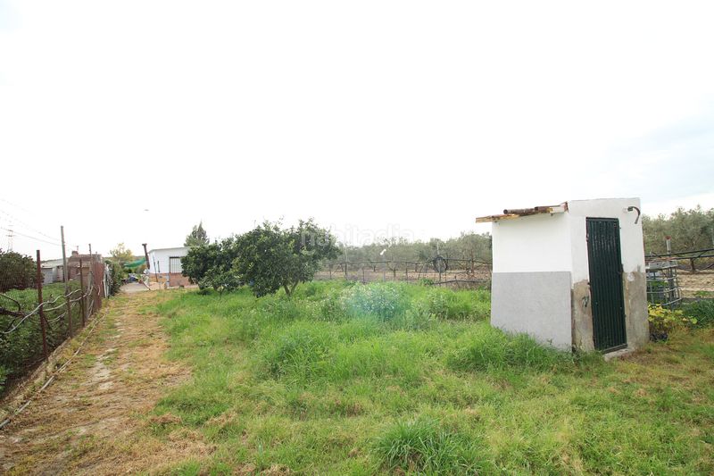 Foto 383abb3f-830a-45f9-bc75-e06426d3af98. Finca rústica parcela rústica de 2.240 m² con vivienda y gallinero en Gibraleón