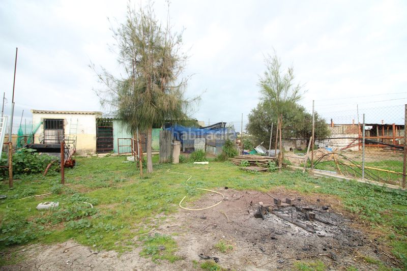 Foto 53a39e75-6f25-4620-90b8-737fb9f34da7. Finca rústica parcela rústica de 2.240 m² con vivienda y gallinero en Gibraleón