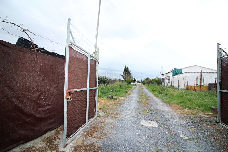 Foto 6aae0aa3-36db-4bc4-80fe-9fe32f44a628. Finca rústica parcela rústica de 2.240 m² con vivienda y gallinero en Gibraleón