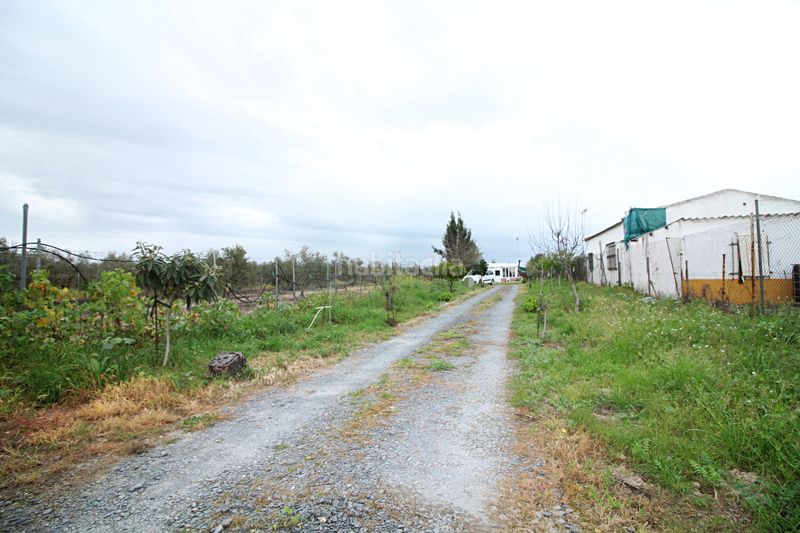 Foto cd853a18-d6f5-4eb2-8799-9fa34c5cf53c. Finca rústica parcela rústica de 2.240 m² con vivienda y gallinero en Gibraleón