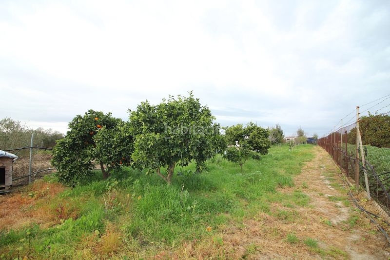 Foto e146c32d-65d2-41d6-af6a-6be5339f11be. Finca rústica parcela rústica de 2.240 m² con vivienda y gallinero en Gibraleón