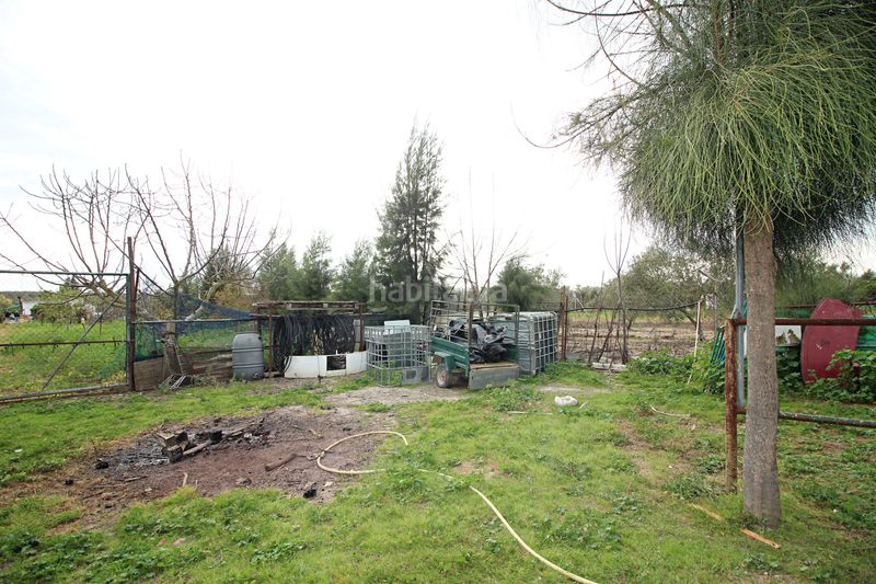 Foto e1e9d395-28c6-4625-9731-4f319890735a. Finca rústica parcela rústica de 2.240 m² con vivienda y gallinero en Gibraleón