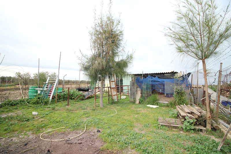 Foto e8d1f45f-396c-4275-9e9a-d46bade31dcb. Finca rústica parcela rústica de 2.240 m² con vivienda y gallinero en Gibraleón