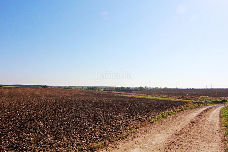 Foto a9b7c92f-a652-4a09-b206-106e9bd9bb80. Finca rústica a La Florida - Vistalegre Huelva