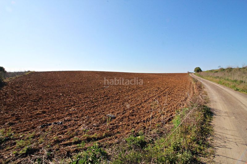 Foto c2a283fc-6661-4657-842d-d5d2d7876dc2. Finca rústica a La Florida - Vistalegre Huelva