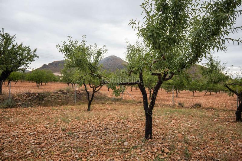 Foto 21cd44ce-40aa-49ea-930d-aa032cd5ad1b. Chalet avec parking dans La Murada - Los Vicentes Orihuela