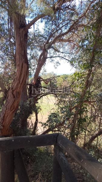 Foto 02e592da-dcb0-46b5-830f-21686bfe928d. Duplex avec parking dans Islantilla golf Islantilla