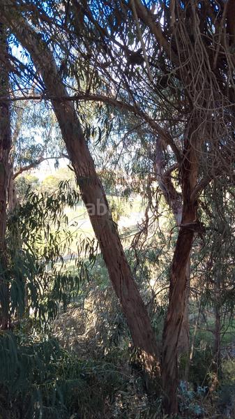 Foto ea5460cf-0a97-41d6-8249-7a8938e1c892. Zweistöckige wohnung mit parking in Islantilla golf Islantilla