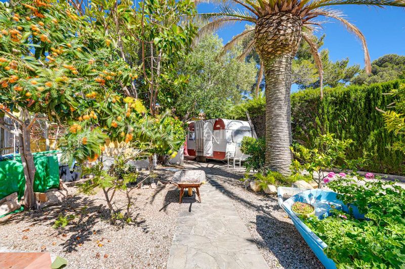 Foto ccea74fc-8084-46d1-b579-cab02ae120b2. Chalet en Centre Miami Platja