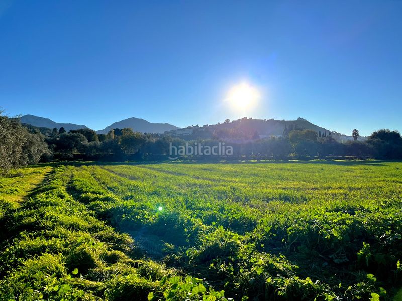 Foto 974f4554-8f83-4588-9d82-bb2358a76f67. Casa a Bobadilla - Bobadilla Estación - La Joya Antequera