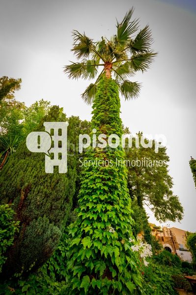 Foto 4f67d244-7986-4792-b7da-895321d1883b. Masia amb aparcament piscina a Casco Histórico Antequera