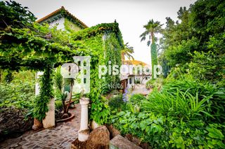 Casale in Casco Histórico. Piérdete en la belleza y la tranquilidad de este entorno