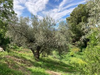Masia en Bobadilla - Bobadilla Estaci�n - La Joya. Casa con terreno en la joya