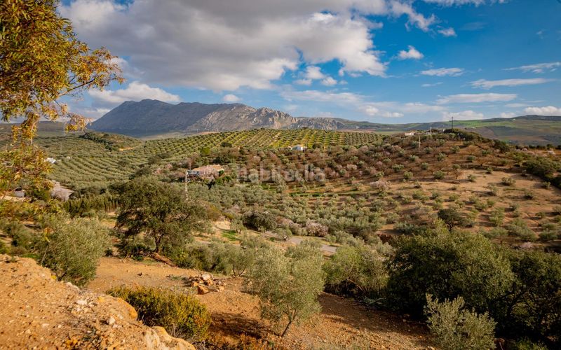 Foto 51399d07-acf3-4c1a-aeef-e7daf854ee05. Masia a Bobadilla - Bobadilla Estación - La Joya Antequera