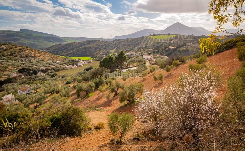 Foto 5561d9d4-fdf4-4a54-96c7-4a33213d0b97. Masia a Bobadilla - Bobadilla Estación - La Joya Antequera