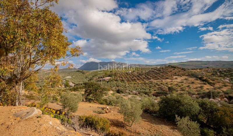 Foto 72445214-a9b7-4bac-8e68-4cb3ef69a9bc. Masia a Bobadilla - Bobadilla Estación - La Joya Antequera