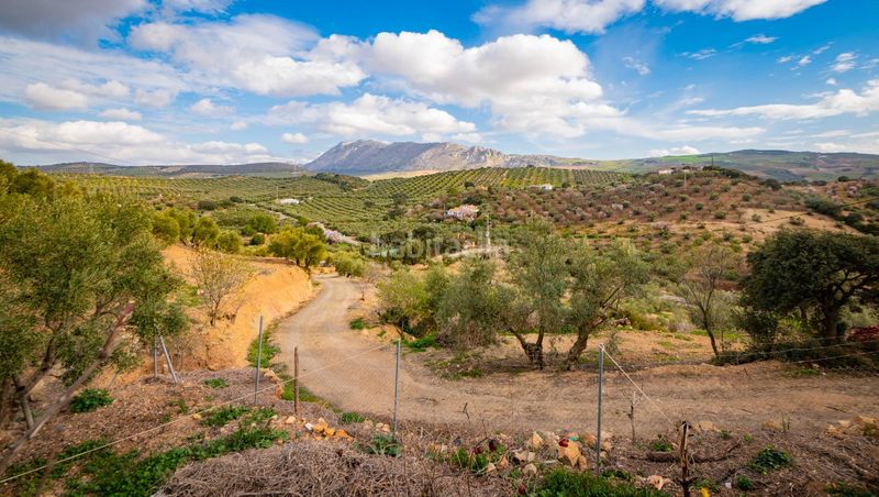 Foto 8e3e991a-933d-4fa3-8074-c31779933f10. Masia a Bobadilla - Bobadilla Estación - La Joya Antequera