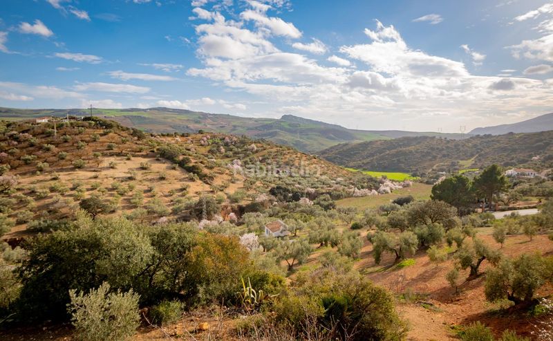 Foto f5fc2fdd-b968-44b8-bed7-737bd67c9d4a. Masia a Bobadilla - Bobadilla Estación - La Joya Antequera