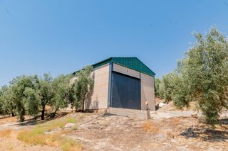 Finca rústica a Archidona
