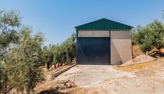 Finca rústica en Archidona. Oportunidad finca con olivar, con nave de aperos, agua, luz y ac