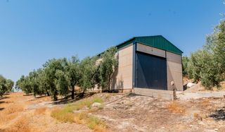 Landgut in Archidona. Oportunidad finca con olivar, con nave de aperos, agua, luz y ac