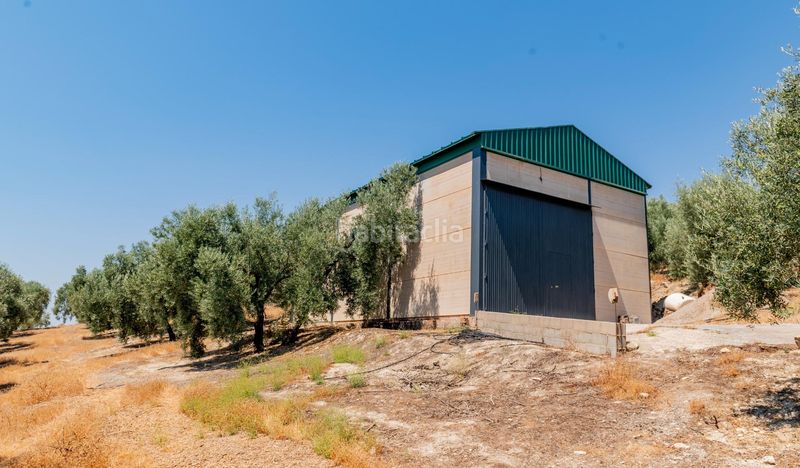Foto 41ed6e0f-b3fc-4785-a1c6-003a986d5fb5. Finca rústica a Archidona