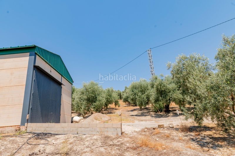 Foto 4675990f-1e75-480b-9e5c-90a7f88ec4cb. Finca rústica a Archidona