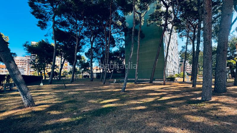 Foto 83a188d5-3ccc-4dd1-9779-b958e36c555e. Alquiler apartamento en carrer bisbe serra 5 alquiler vacacional- amanecer en benicasim en Benicasim / Benicàssim