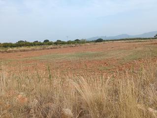 Finca rústica en N/a. Se vende terreno en benlloc