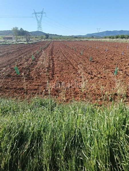 Foto e4cc4f36-ca6f-4625-a04f-ad4579503387. Finca rústica a n/a a Benlloc