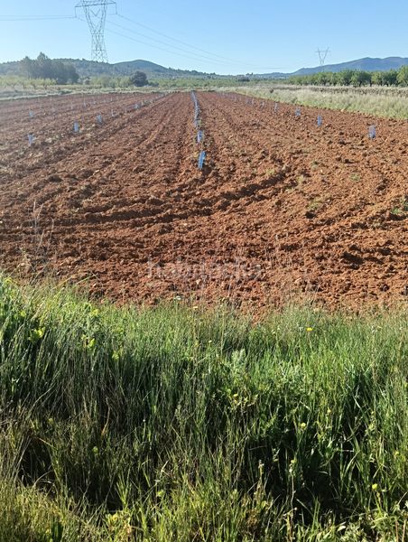 Foto f850e086-bb02-475f-a599-e9d8070d57cd. Finca rústica a n/a a Benlloc
