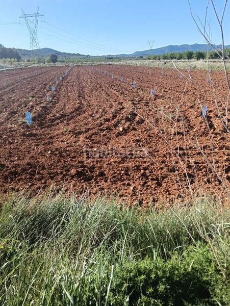 Foto faa8110b-0c66-41c5-baa3-d70a1729f934. Finca rústica a n/a a Benlloc