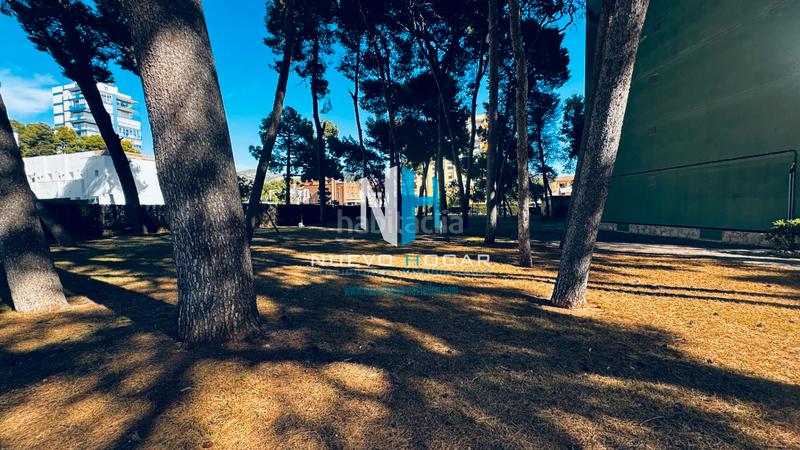 Foto bf6d3dff-844c-4774-956f-380123a866d4. Appartement dans carrer bisbe serra 5 dans Voramar Benicasim / Benicàssim