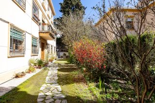 Pis a San Matías - Realejo