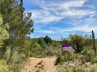 Finca rústica a Polígono 9  parcela 80  80. Terreno en venta en macastre
