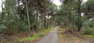 Masia a Beas. Finca rústica en beas